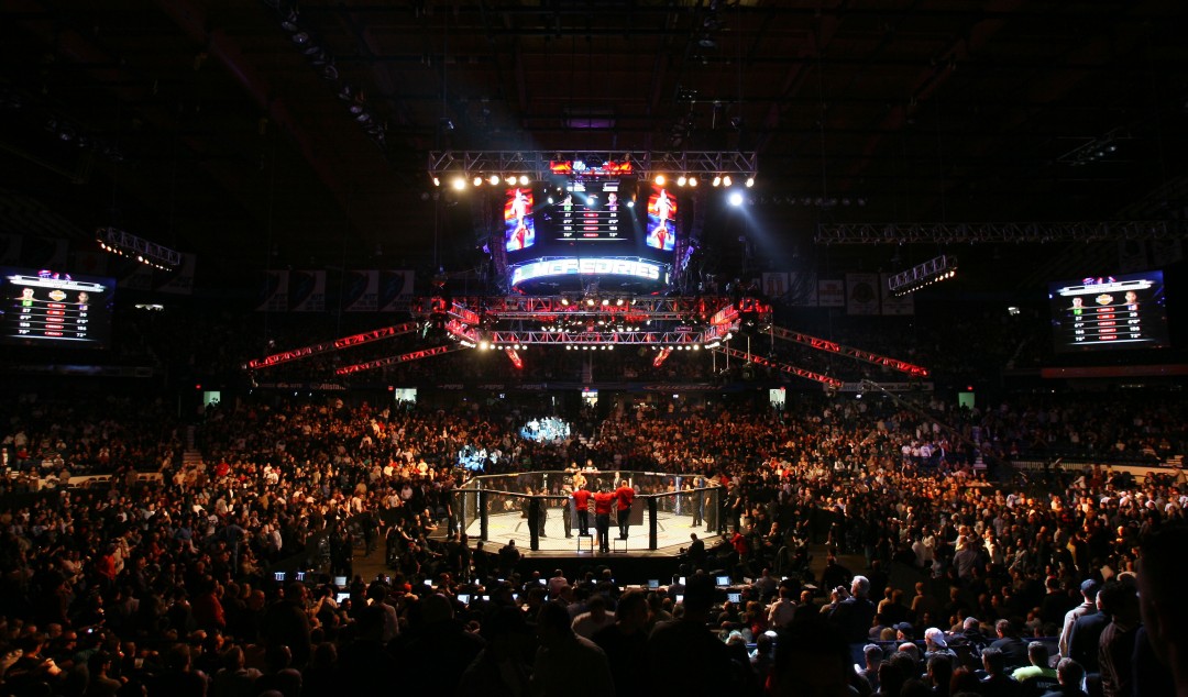 UFC 90 Silva v Cote